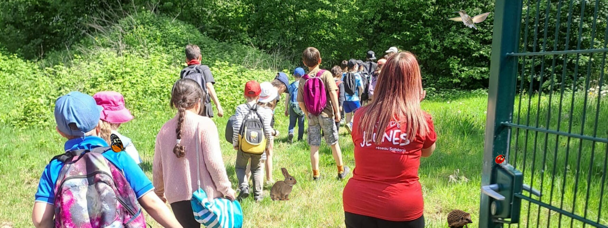Stage Anim'animal à Forchies-la-Marche - Les Associations Solidaris