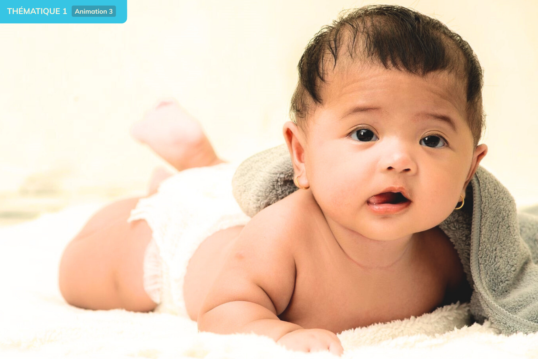 Téléchargez le PDF