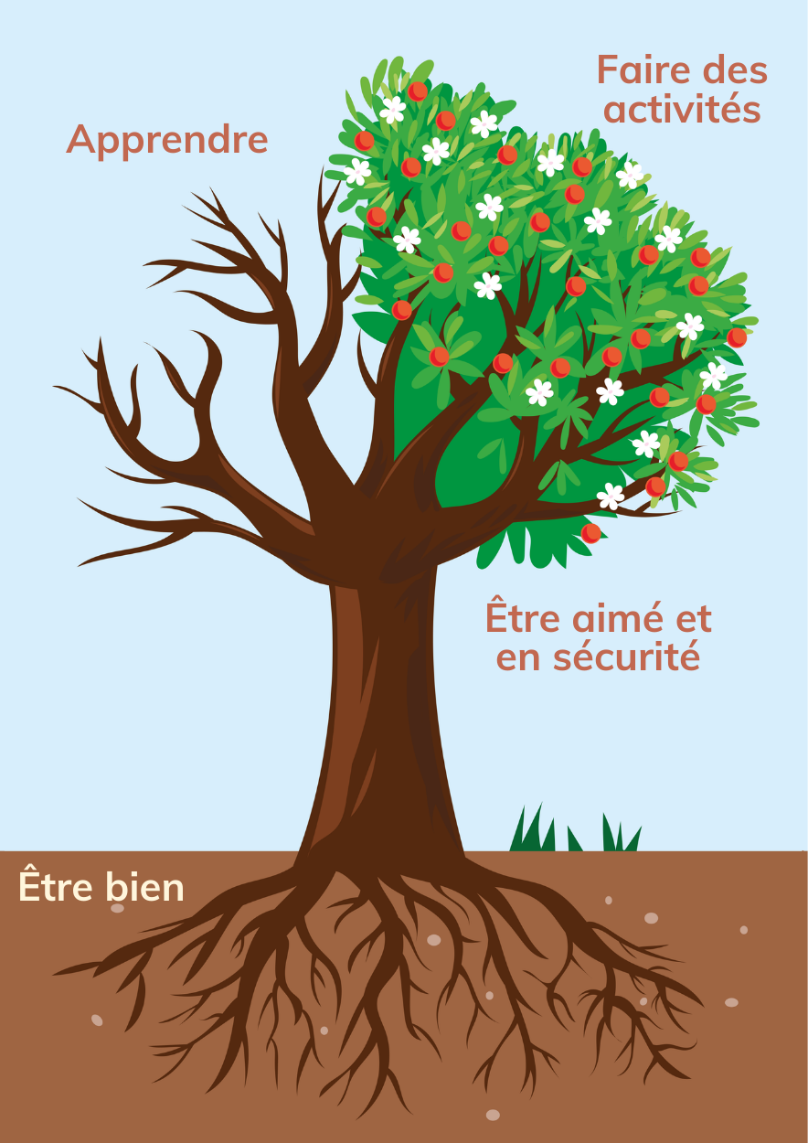 Téléchargez le PDF